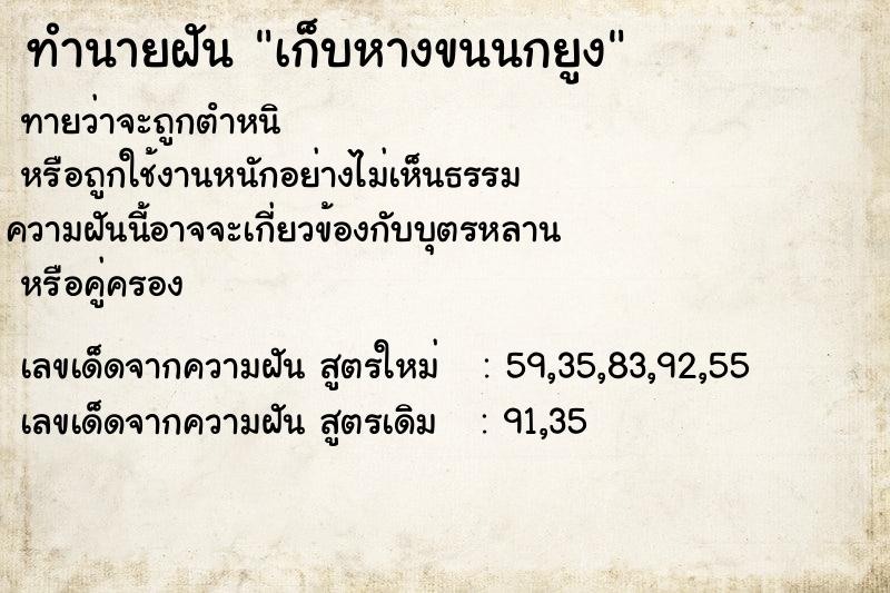 ทำนายฝัน เก็บหางขนนกยูง