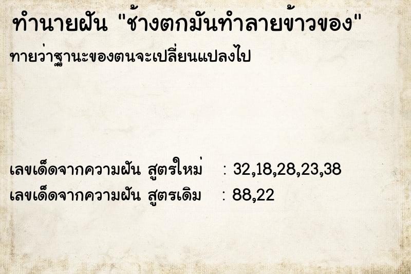 ทำนายฝัน ช้างตกมันทำลายข้าวของ