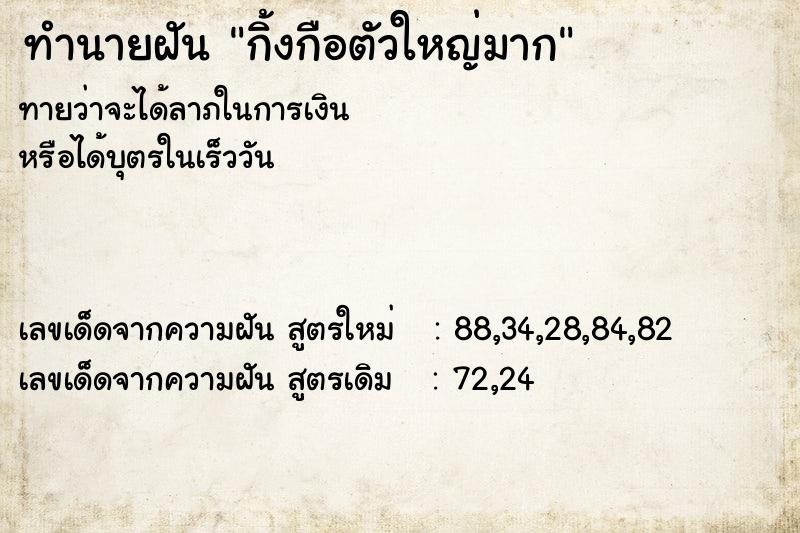 ทำนายฝัน กิ้งกือตัวใหญ่มาก