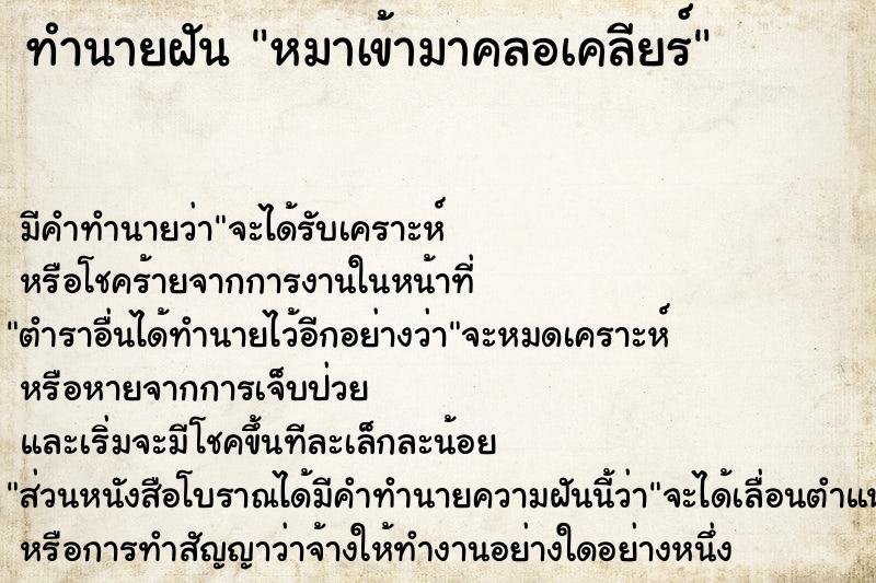 ทำนายฝัน หมาเข้ามาคลอเคลียร์