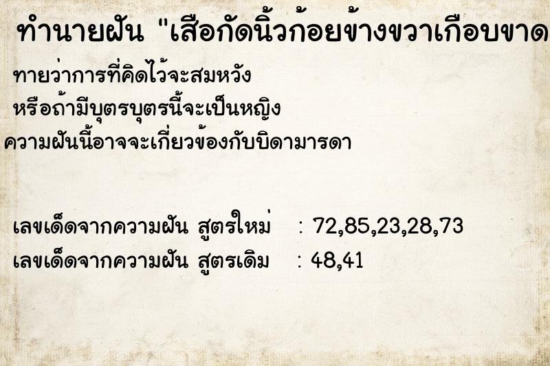 ทำนายฝัน เสือกัดนิ้วก้อยข้างขวาเกือบขาด