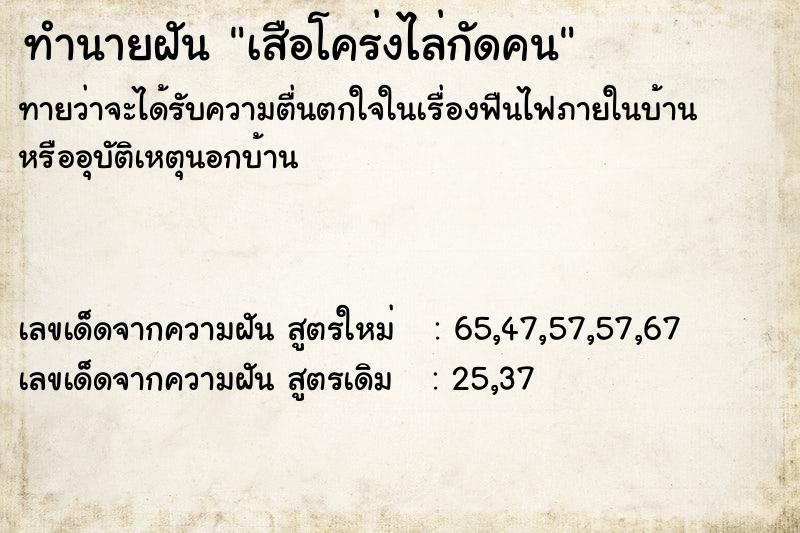 ทำนายฝัน เสือโคร่งไล่กัดคน