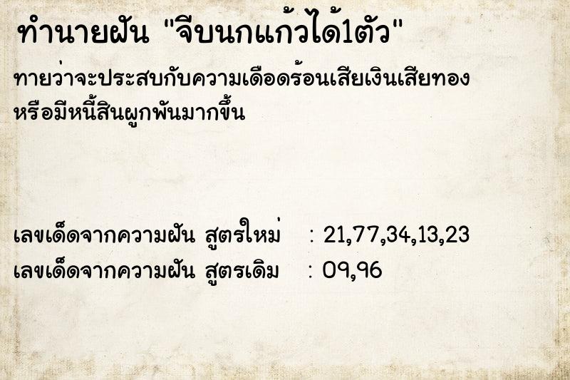 ทำนายฝัน จีบนกแก้วได้1ตัว