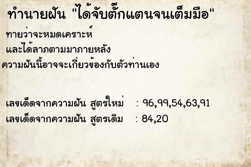 ทำนายฝัน ได้จับตั๊กแตนจนเต็มมือ