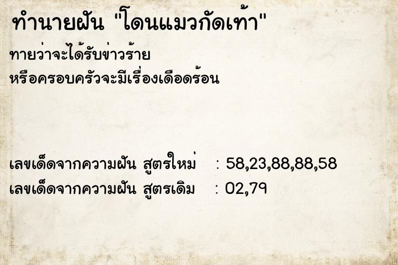 ทำนายฝัน โดนแมวกัดเท้า