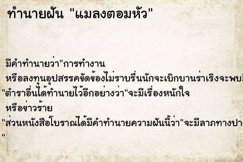 ทำนายฝัน แมลงตอมหัว