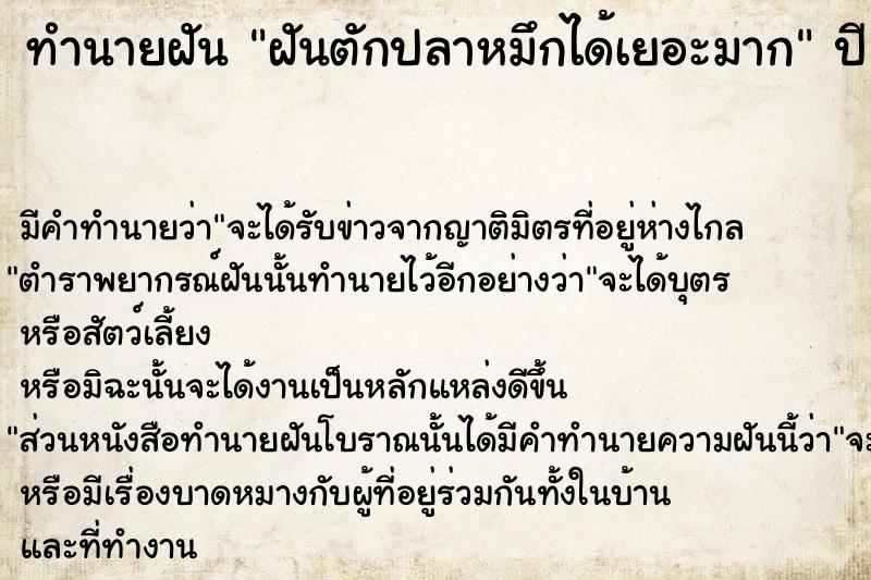 ทำนายฝัน ฝันตักปลาหมึกได้เยอะมาก