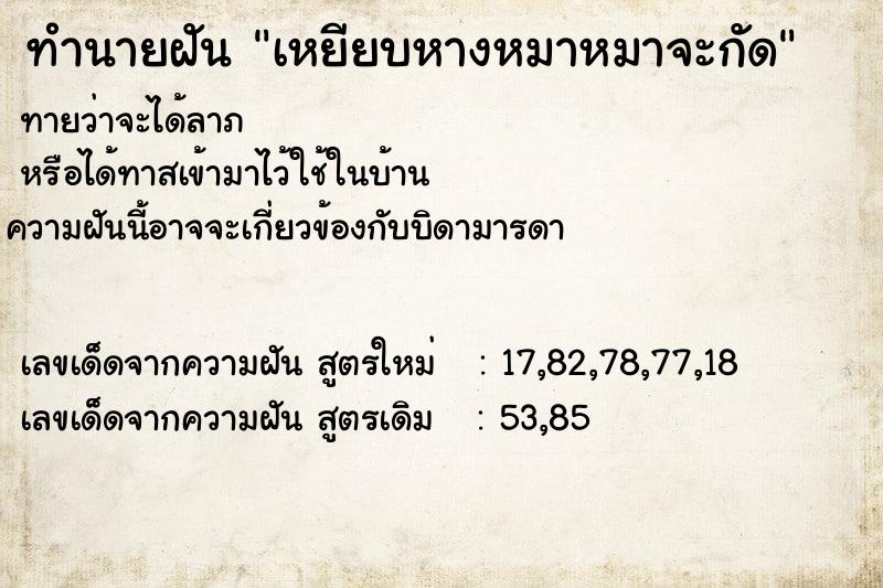 ทำนายฝัน เหยียบหางหมาหมาจะกัด