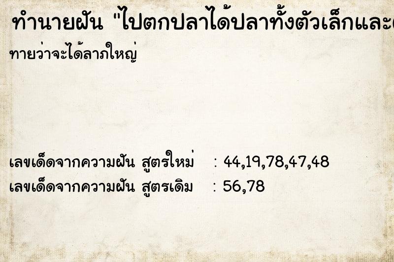 ทำนายฝัน ไปตกปลาได้ปลาทั้งตัวเล็กและตัวใหญ่