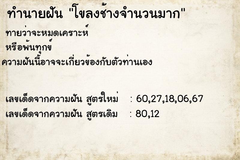 ทำนายฝัน โขลงช้างจำนวนมาก