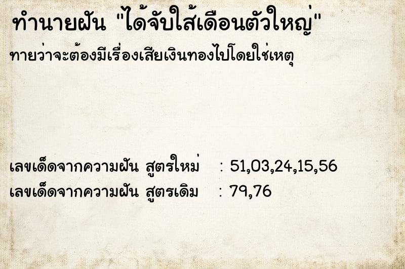 ทำนายฝัน ได้จับใส้เดือนตัวใหญ่