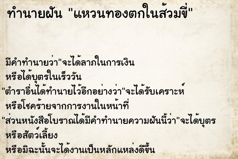 ทำนายฝัน แหวนทองตกในส้วมขี่