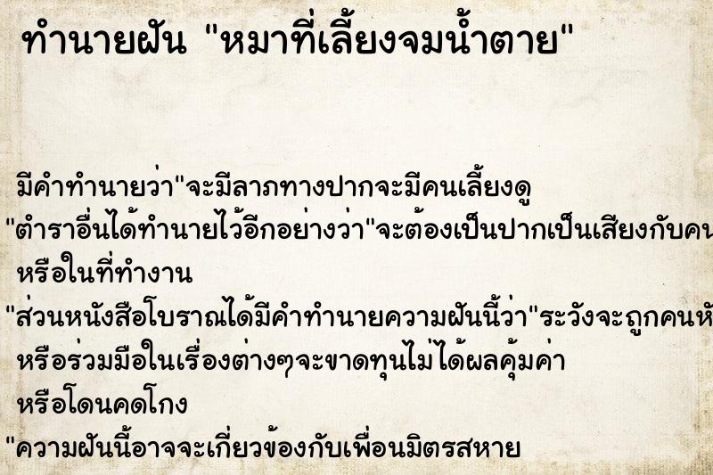 ทำนายฝัน หมาที่เลี้ยงจมน้ำตาย  เลขนำโชค 