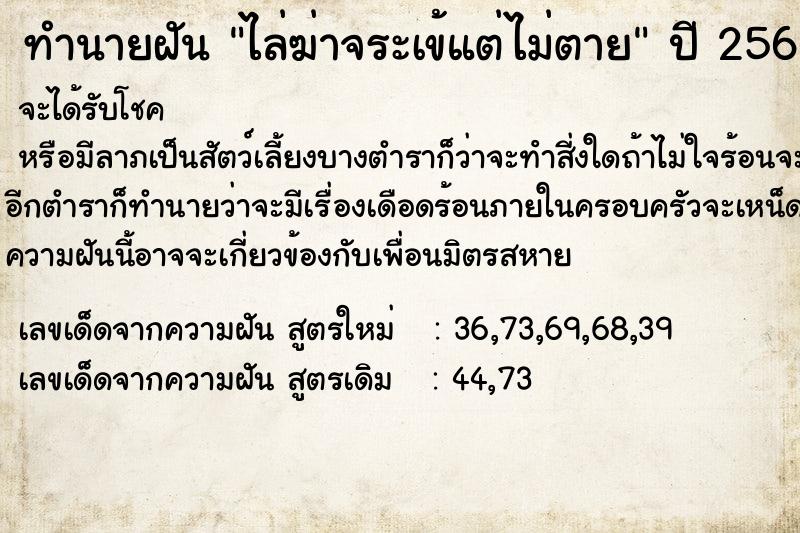 ทำนายฝัน ไล่ฆ่าจระเข้แต่ไม่ตาย  เลขนำโชค 