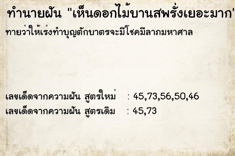 ทำนายฝัน เห็นดอกไม้บานสพรั่งเยอะมาก