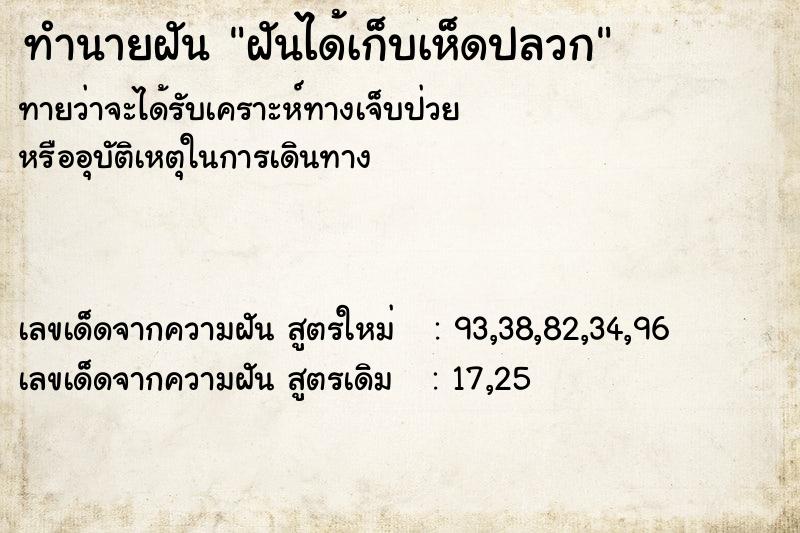 ทำนายฝัน ฝันได้เก็บเห็ดปลวก