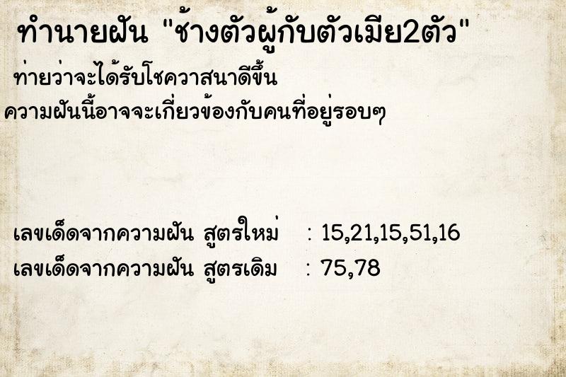 ทำนายฝัน ช้างตัวผู้กับตัวเมีย2ตัว