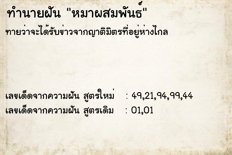 ทำนายฝัน หมาผสมพันธ์