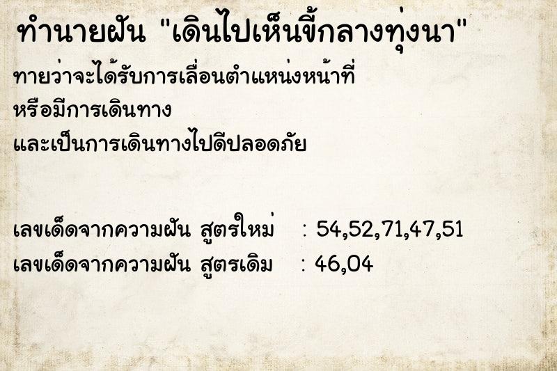 ทำนายฝัน เดินไปเห็นขี้กลางทุ่งนา