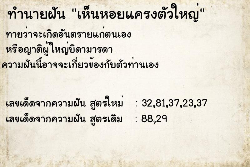 ทำนายฝัน เห็นหอยแครงตัวใหญ่