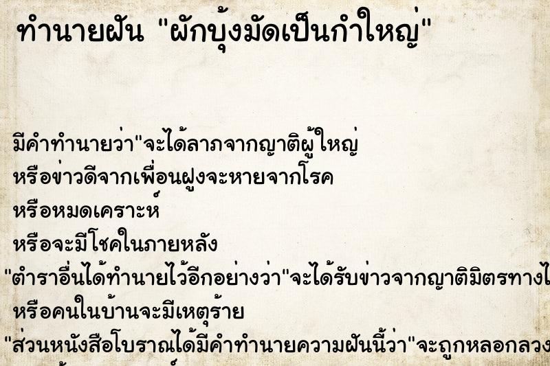 ทำนายฝัน ผักบุ้งมัดเป็นกำใหญ่