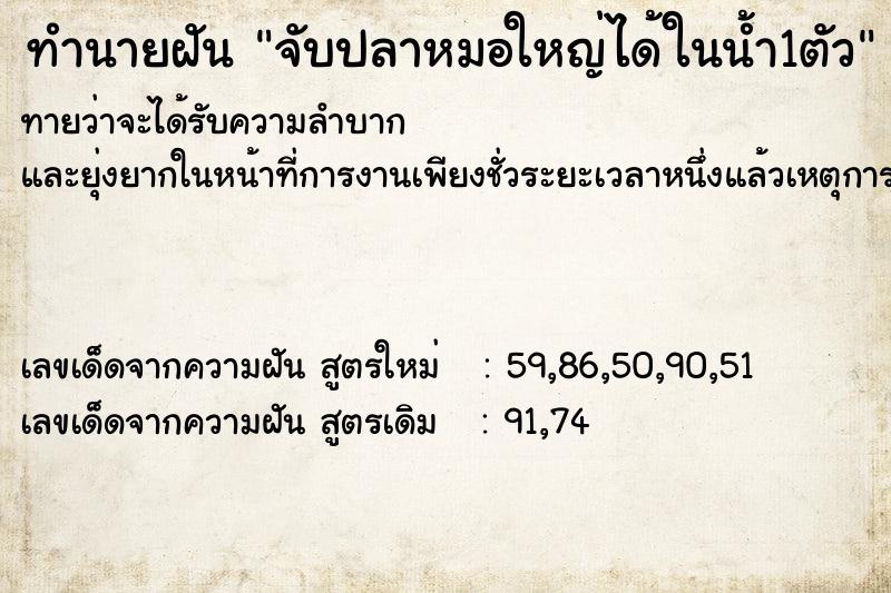 ทำนายฝัน จับปลาหมอใหญ่ได้ในน้ำ1ตัว