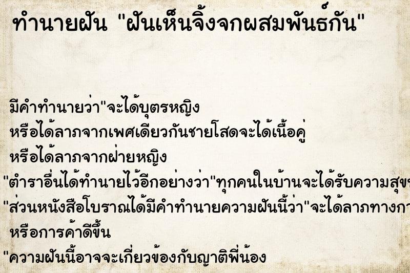 ทำนายฝัน ฝันเห็นจิ้งจกผสมพันธ์กัน