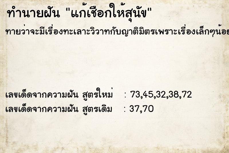 ทำนายฝัน แก้เชือกให้สุนัข