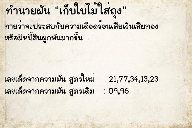 ทำนายฝัน เก็บใบไม้ใส่ถุง