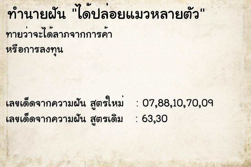 ทำนายฝัน ได้ปล่อยแมวหลายตัว  เลขนำโชค 