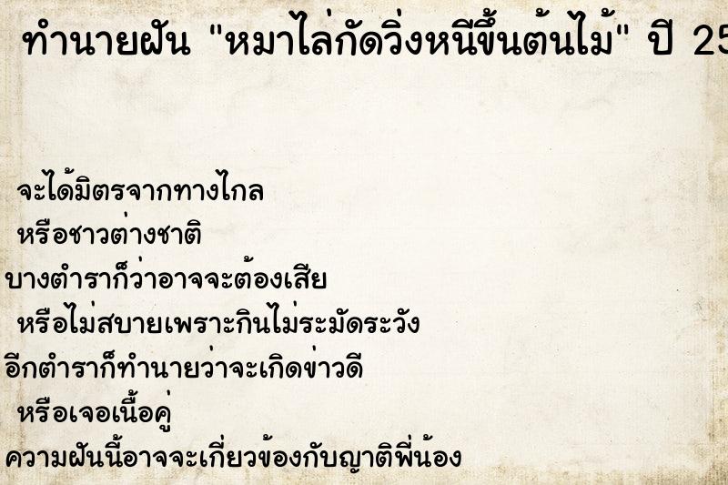 ทำนายฝัน หมาไล่กัดวิ่งหนีขึ้นต้นไม้