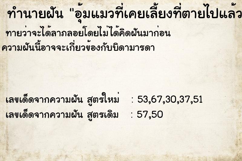 ทำนายฝัน อุ้มแมวที่เคยเลี้ยงที่ตายไปแล้ว  เลขนำโชค 