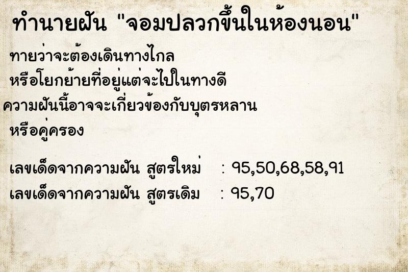 ทำนายฝัน จอมปลวกขึ้นในห้องนอน