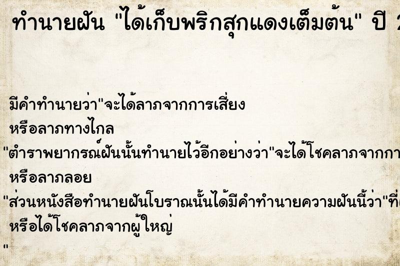 ทำนายฝัน ได้เก็บพริกสุกแดงเต็มต้น