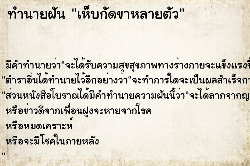 ทำนายฝัน เห็บกัดขาหลายตัว