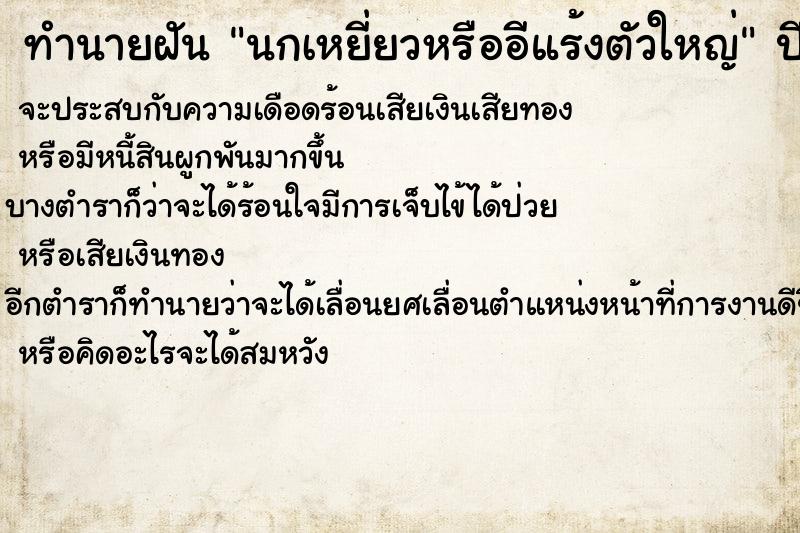 ทำนายฝัน นกเหยี่ยวหรืออีแร้งตัวใหญ่  เลขนำโชค 