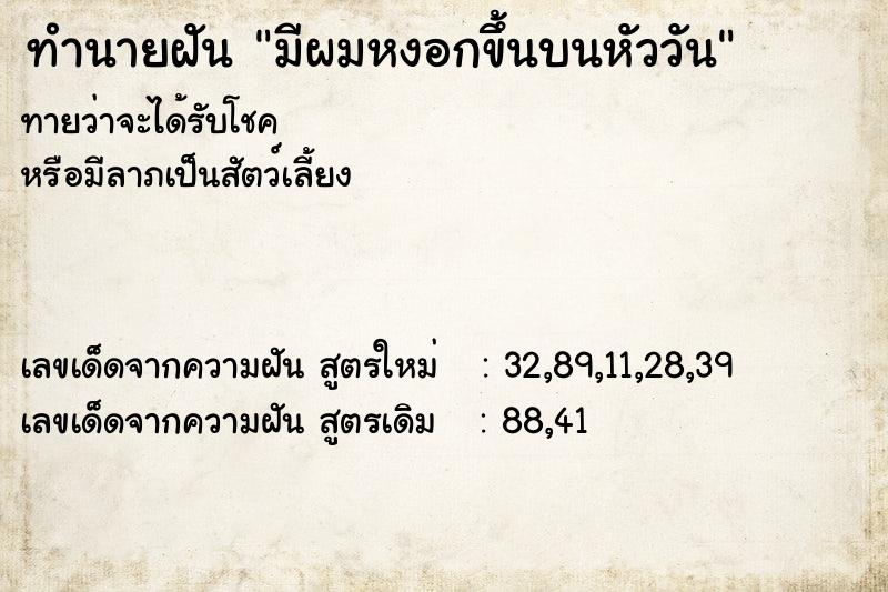 ทำนายฝัน มีผมหงอกขึ้นบนหัววัน