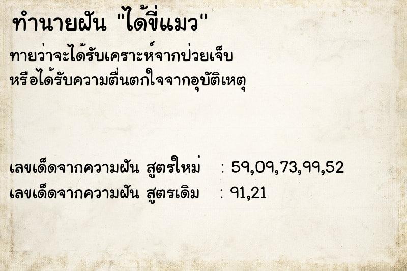 ทำนายฝัน ได้ขี่แมว  เลขนำโชค 