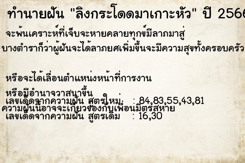 ทำนายฝัน ลิงกระโดดมาเกาะหัว  เลขนำโชค 