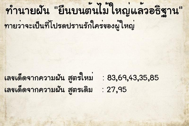 ทำนายฝัน ยืนบนต้นไม้ใหญ่แล้วอธิฐาน