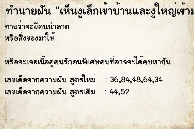 ทำนายฝัน เห็นงูเล็กเข้าบ้านและงูใหญ่เข้ามาอีกตัว