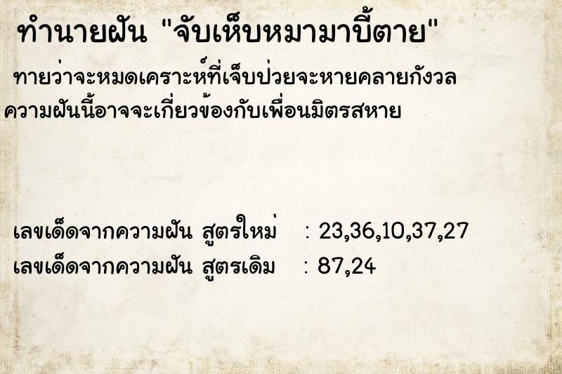 ทำนายฝัน จับเห็บหมามาบี้ตาย