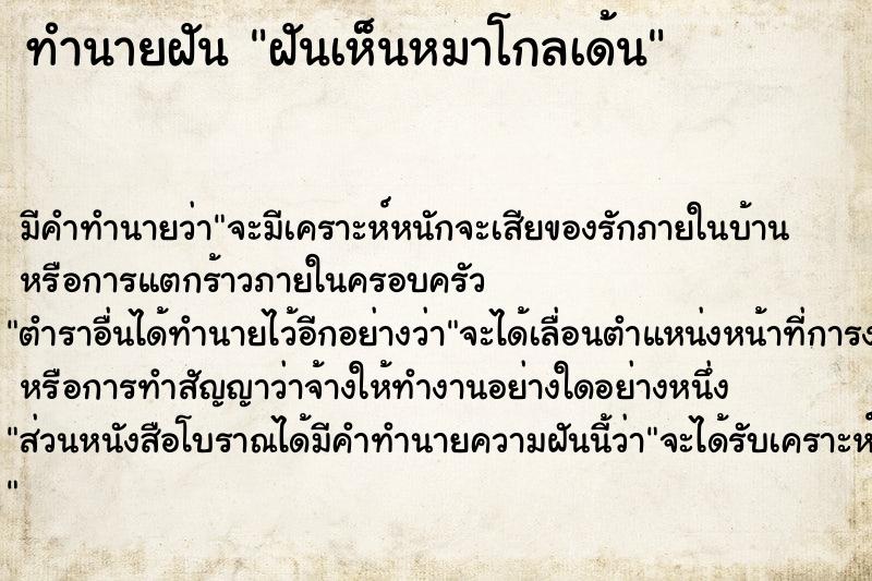 ทำนายฝัน ฝันเห็นหมาโกลเด้น