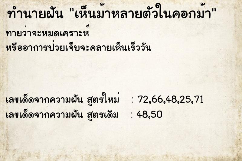 ทำนายฝัน เห็นม้าหลายตัวในคอกม้า