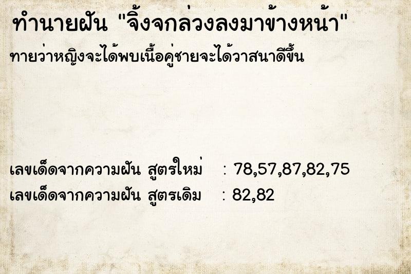 ทำนายฝัน จิ้งจกล่วงลงมาข้างหน้า