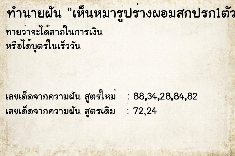 ทำนายฝัน เห็นหมารูปร่างผอมสกปรก1ตัว