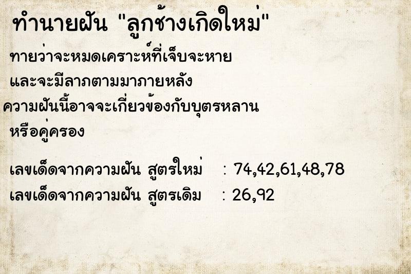 ทำนายฝัน ลูกช้างเกิดใหม่