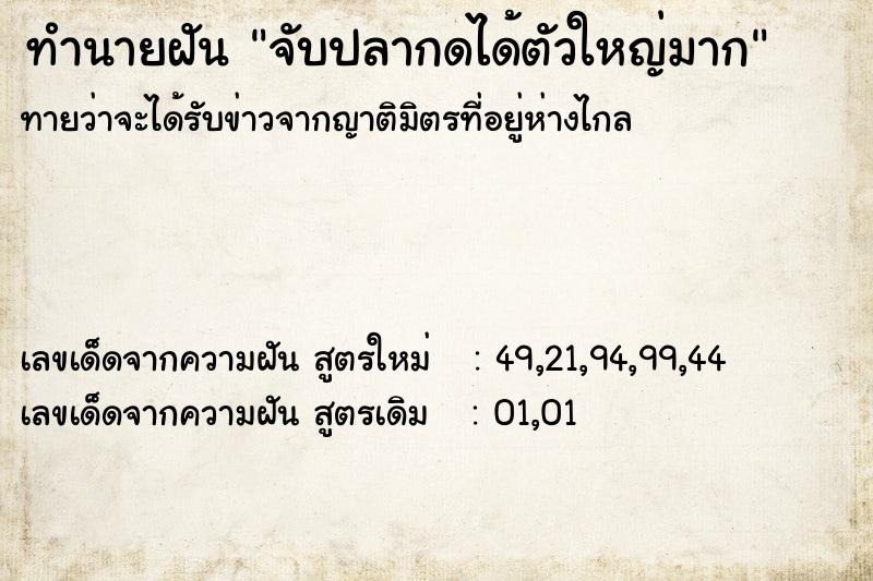 ทำนายฝัน จับปลากดได้ตัวใหญ่มาก