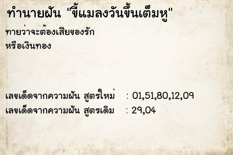 ทำนายฝัน ขี้แมลงวันขึ้นเต็มหู