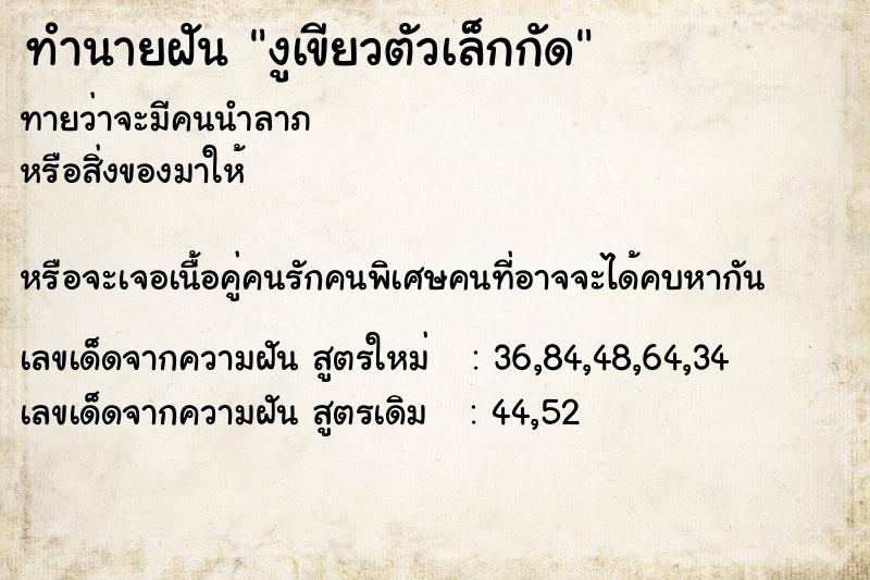 ทำนายฝัน งูเขียวตัวเล็กกัด  เลขนำโชค 